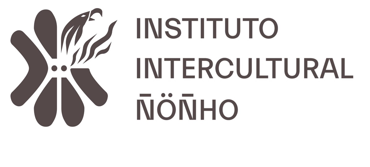 Nuevo Logo iiÑ 2020